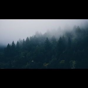 Meet your Posher, Isaac